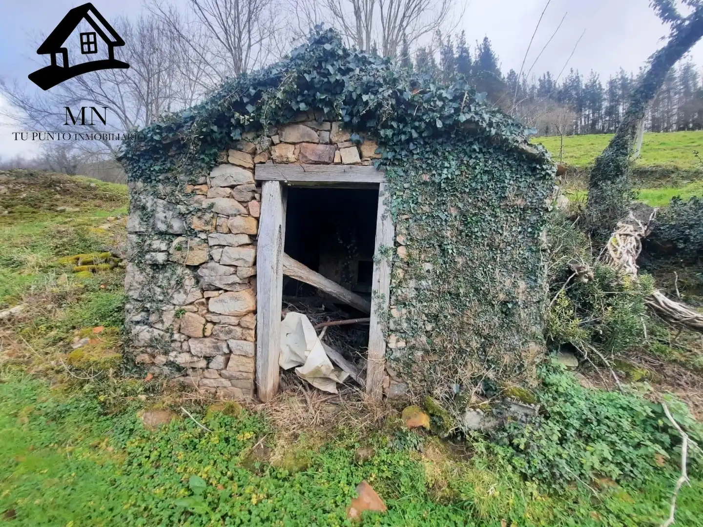 Casa rustica con giardino in vendita a San Pedro del Romeral, imagen 7