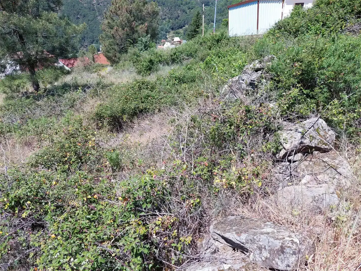 Finca rústica en venta en Mijares