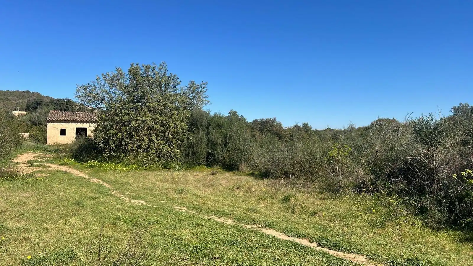 Grundstücke zum Verkauf in Marratxí, Illes Balears
