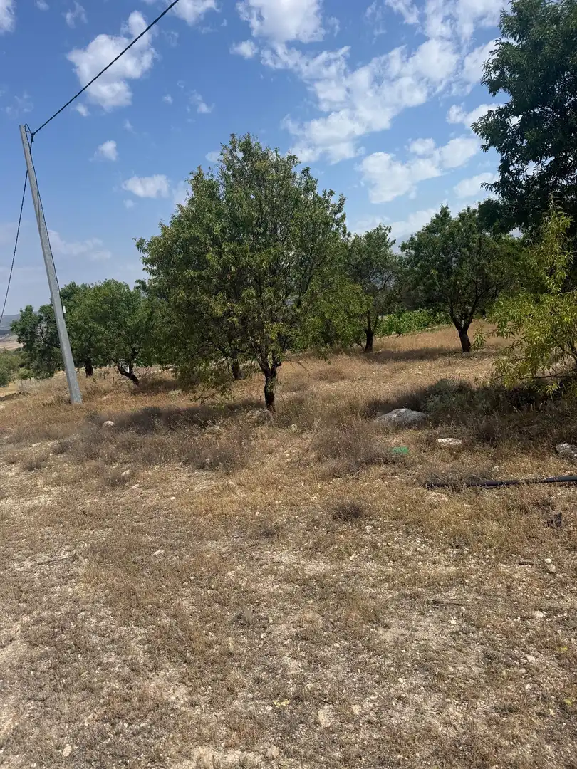 Terrenys i solars en venda a Biar