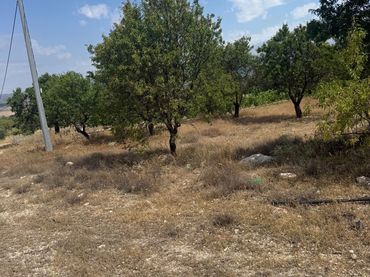 Lands and plots for sale in Biar
