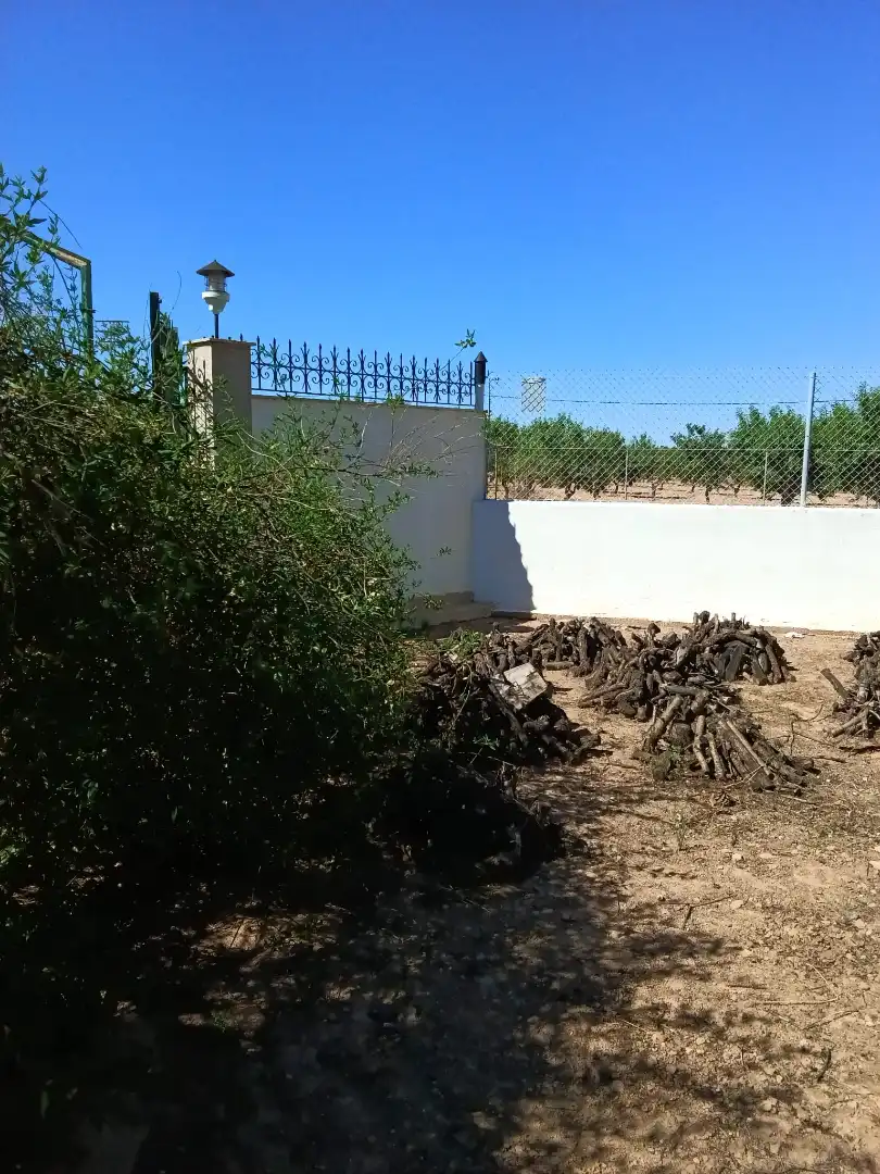 Jardín de Finca rústica en venta en Fuente Álamo de Murcia con Aire acondicionado, Jardín privado y Amueblado