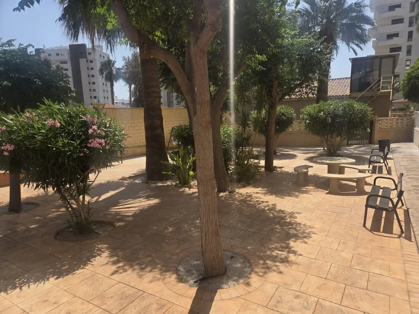 Garden of Study for rent in Alicante / Alacant  with Heating, Terrace and Furnished