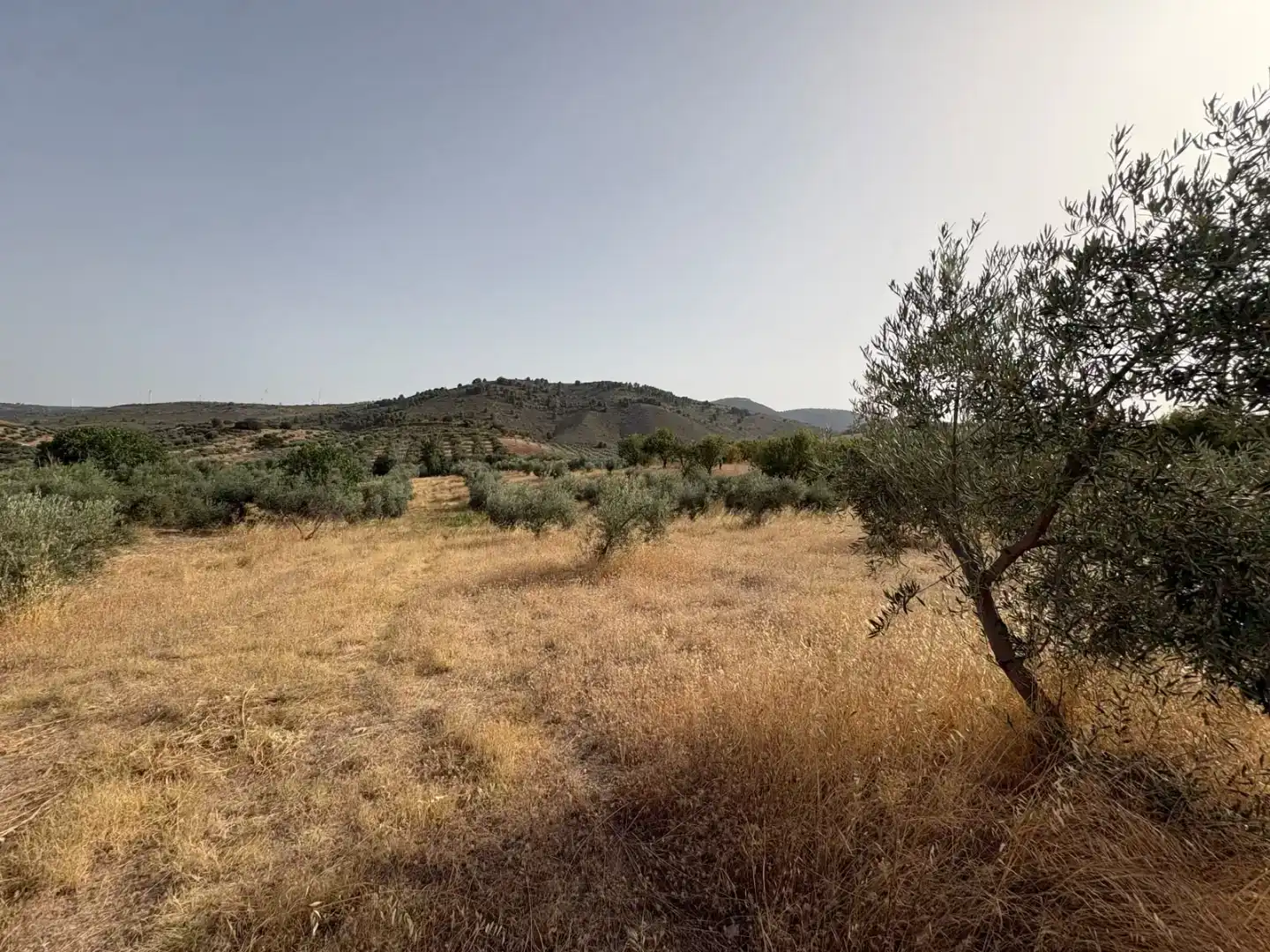 Pis en venda en Padul amb Jardí privat