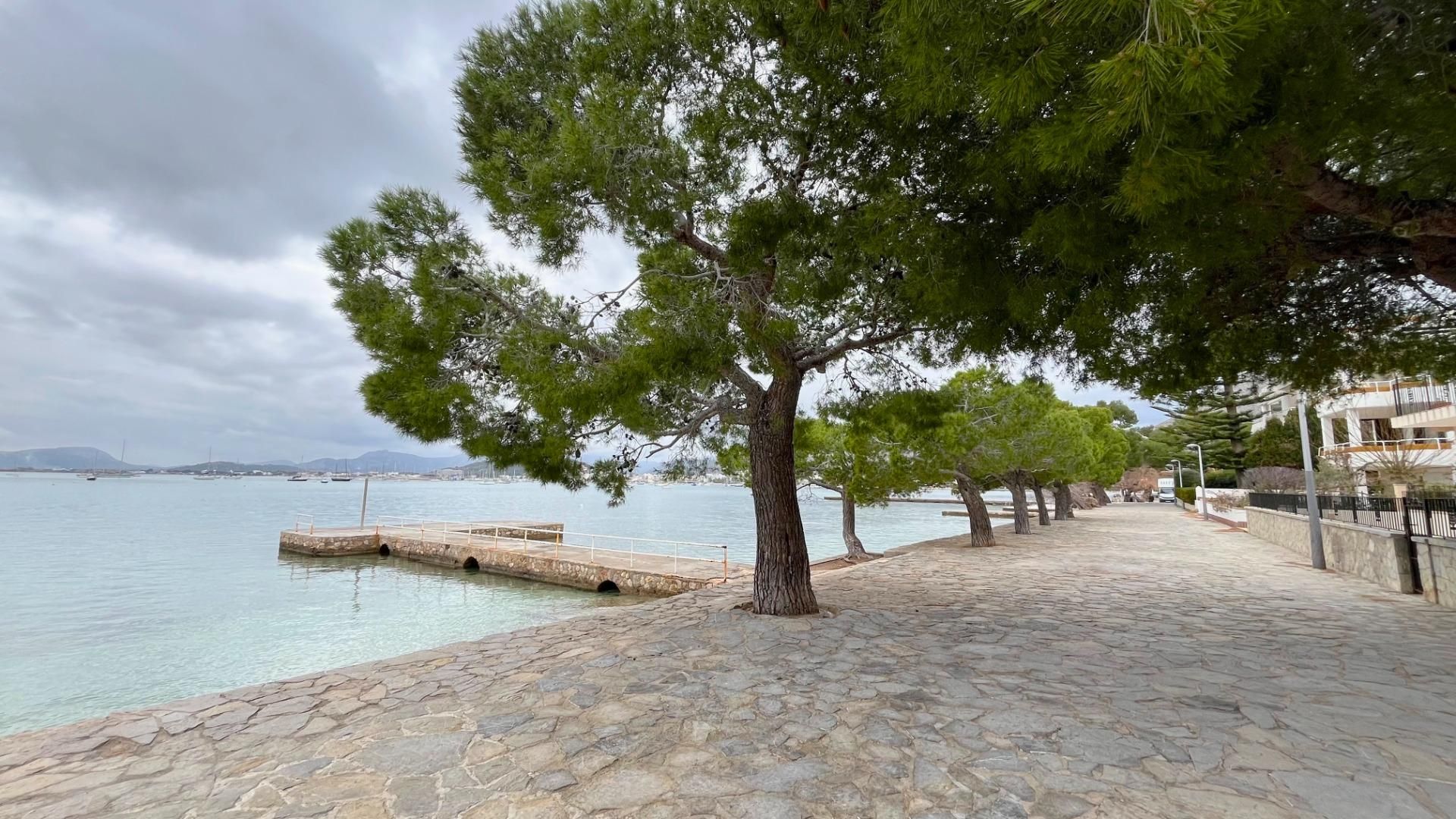 Vista exterior de Casa o chalet en venta en Pollença con Jardín privado, Terraza y Trastero