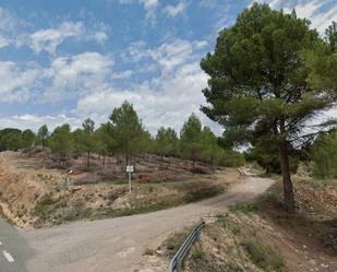 Land for sale in Elche de la Sierra