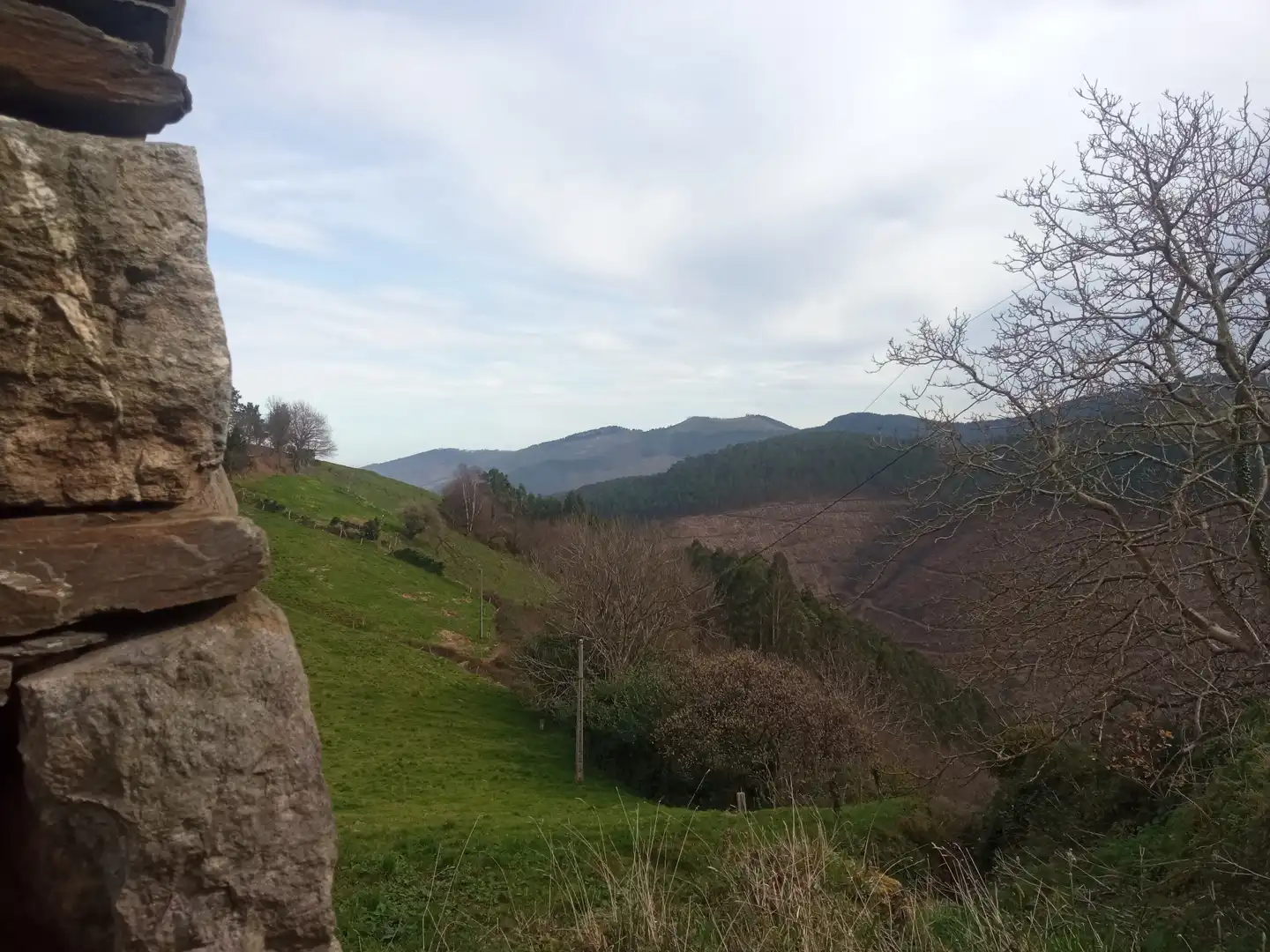 Vista exterior de Finca rústica en venda en Cudillero amb Jardí privat