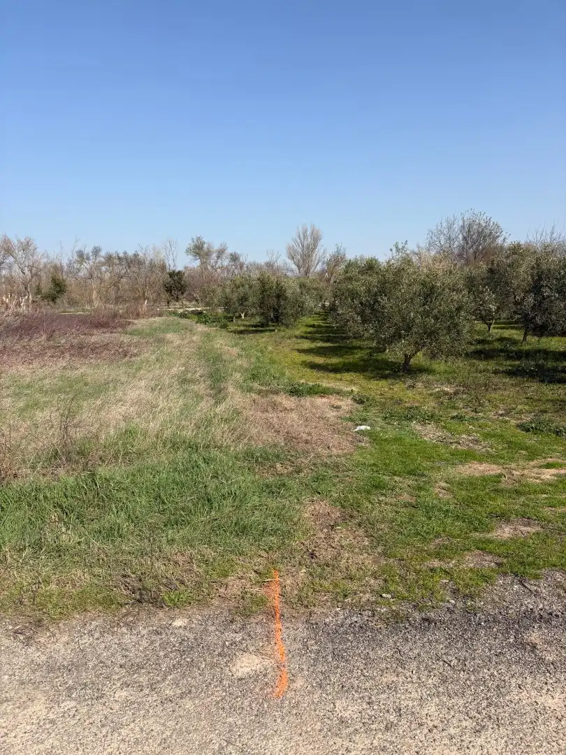 Rural land for sale in Agoncillo, imagen 3