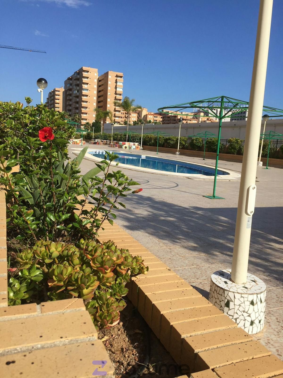 Swimming pool of Flat to rent in Oropesa del Mar / Orpesa  with Air Conditioner, Private garden and Swimming Pool