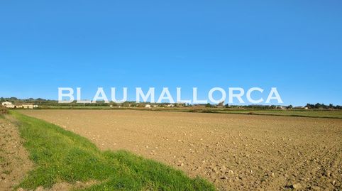 Photo 5 of Country homes for sale in Petra, Illes Balears