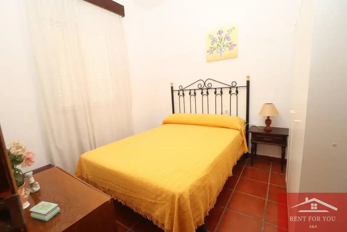 Casa con piscina in affitto a Centro, imagen 39