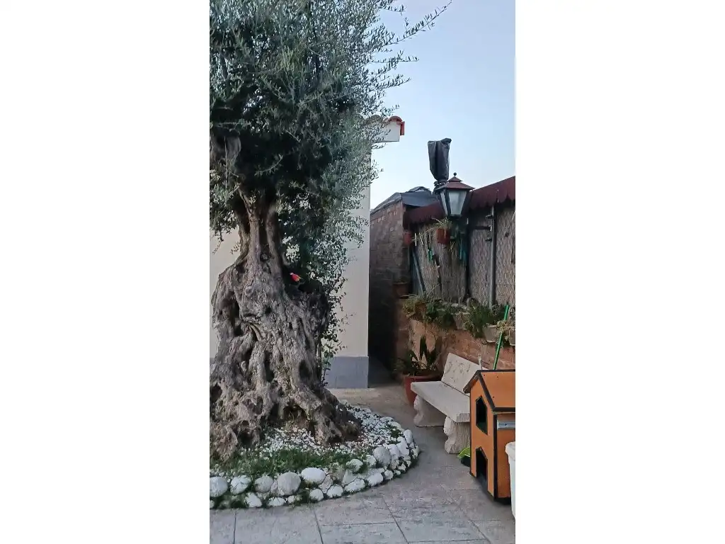 Jardín de Casa o chalet en venta en Rubí