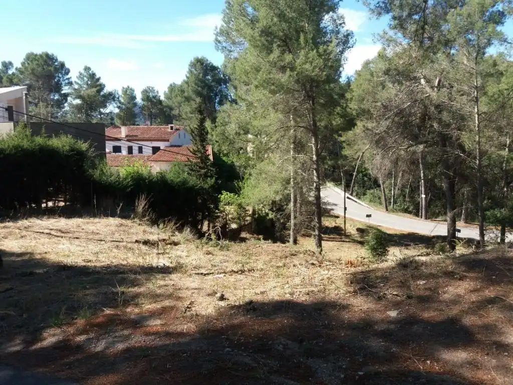 Terreny rústic en venda a MARE DE DEU DE MONTSERRAT, imagen 6