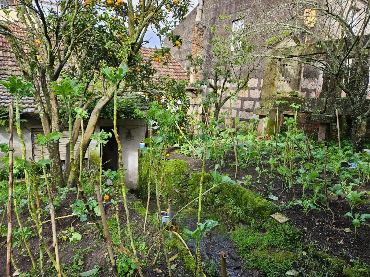 Jardí de Residencial en venda en Redondela
