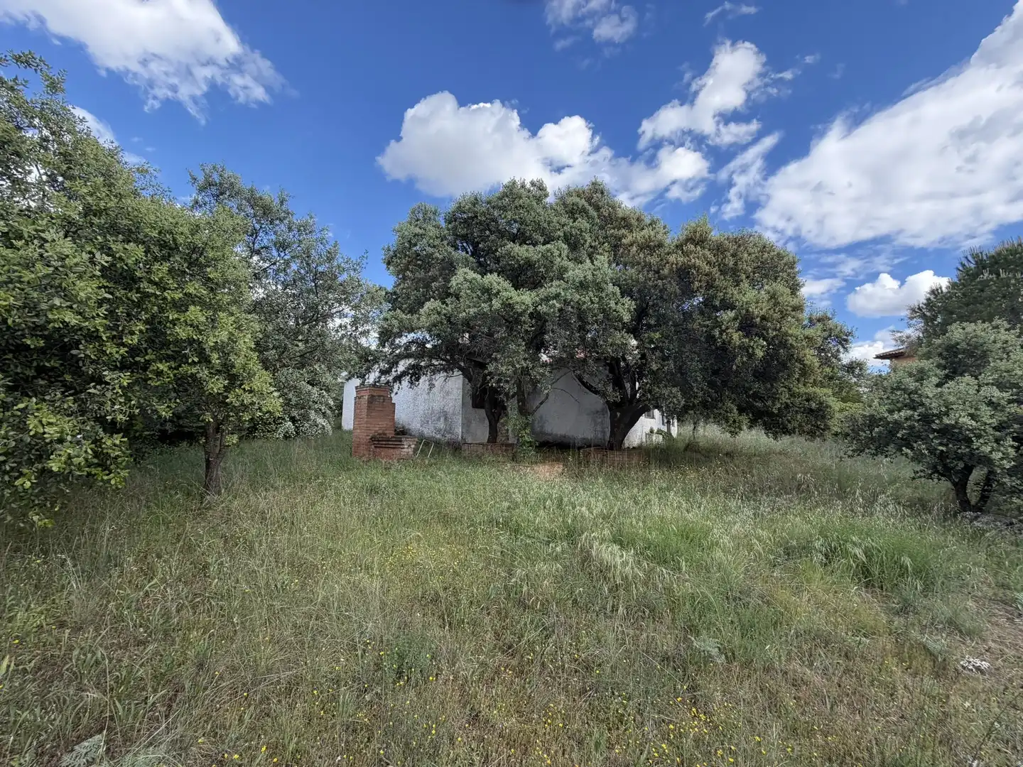 House for sale in Eurovillas, imagen 34