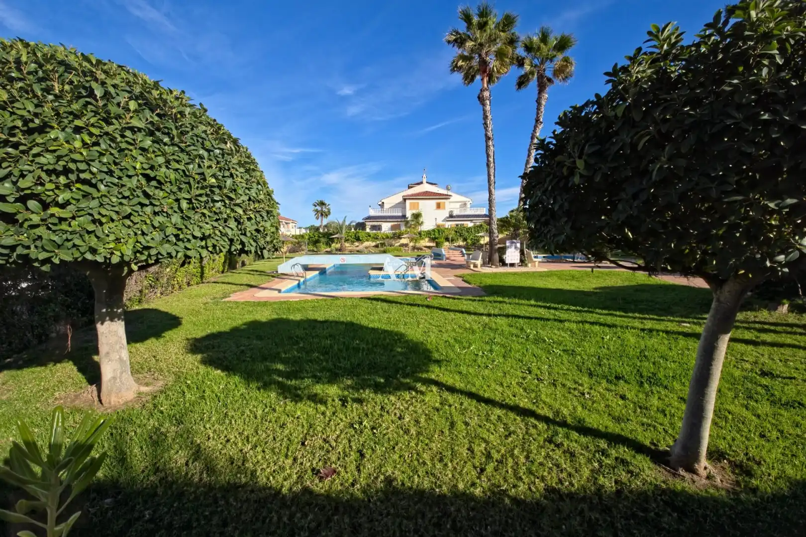 Jardí de Pis de lloguer en Torrevieja amb Terrassa, Piscina i Rentadora