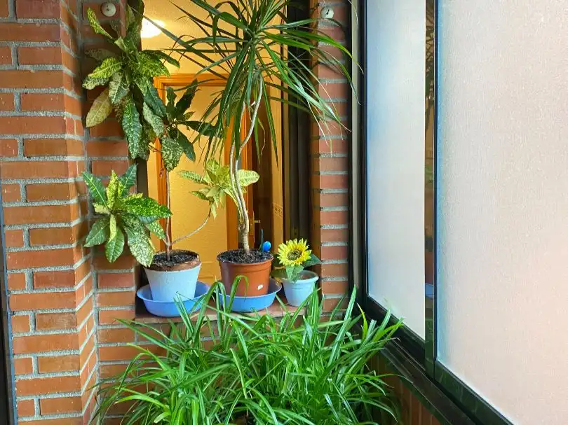 Wohnung mit Aufzug zum Verkauf in laguna de joatzel 2 1, imagen 7