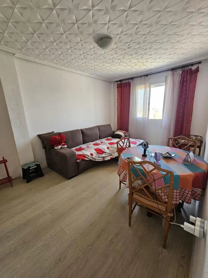 Sala de estar de Piso en venta en Valencia con Aire acondicionado y Amueblado