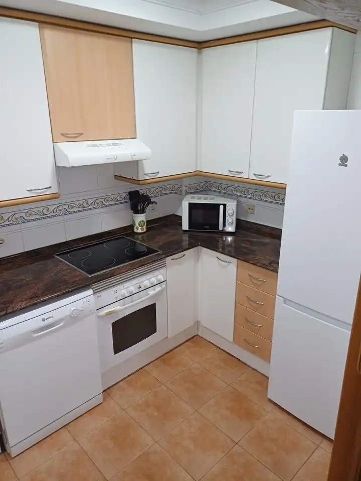 Flat with lift to rent in De L'Actriu Encarna Máñez, imagen 4