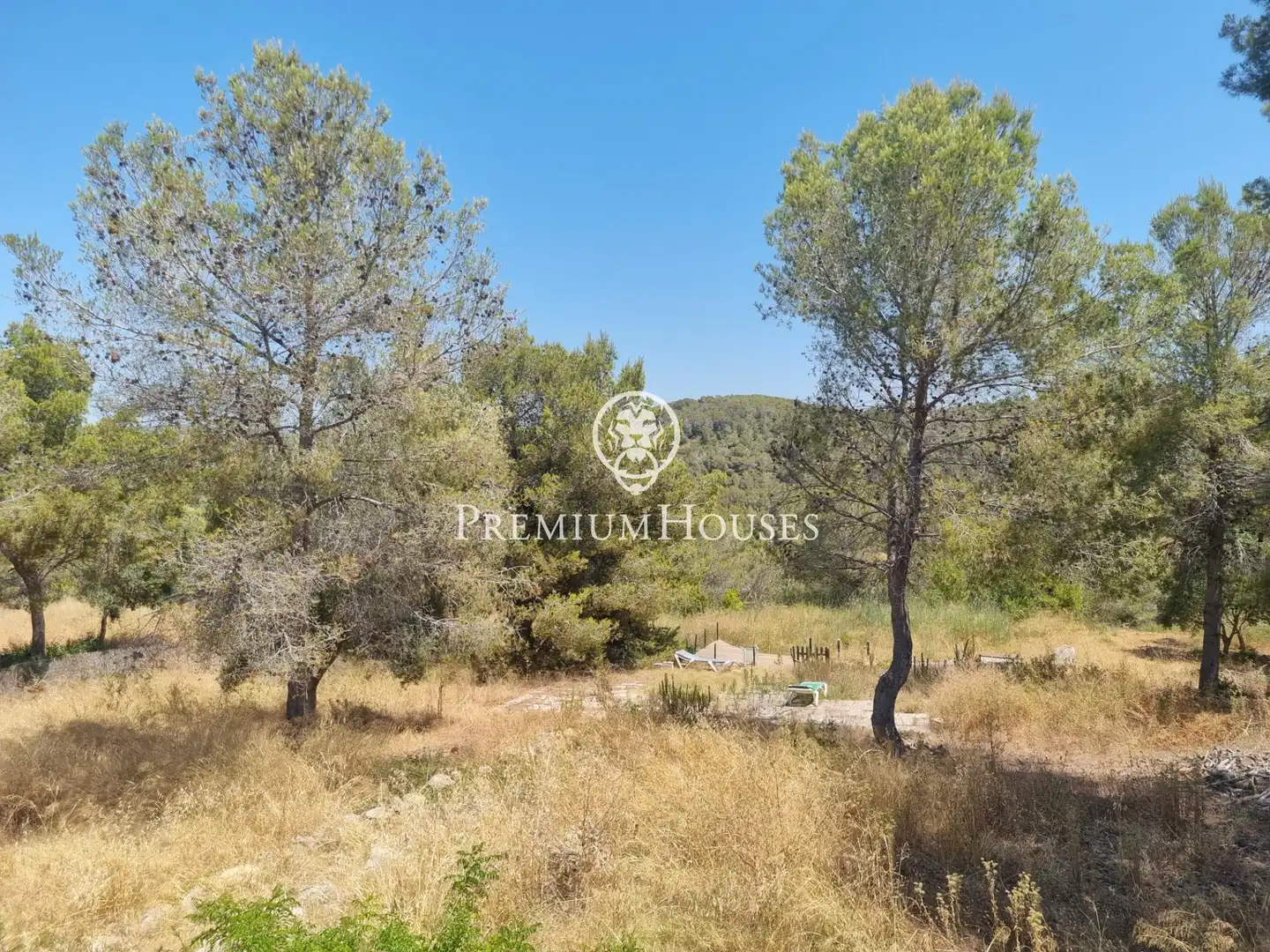 Terrain rustique à vendre à Vallpineda - Rocamar, imagen 5