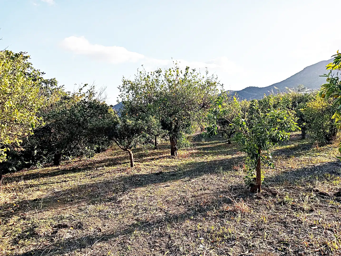 Country house zum Verkauf in Carratraca mit Privatgarten, Terrasse und Möbliert