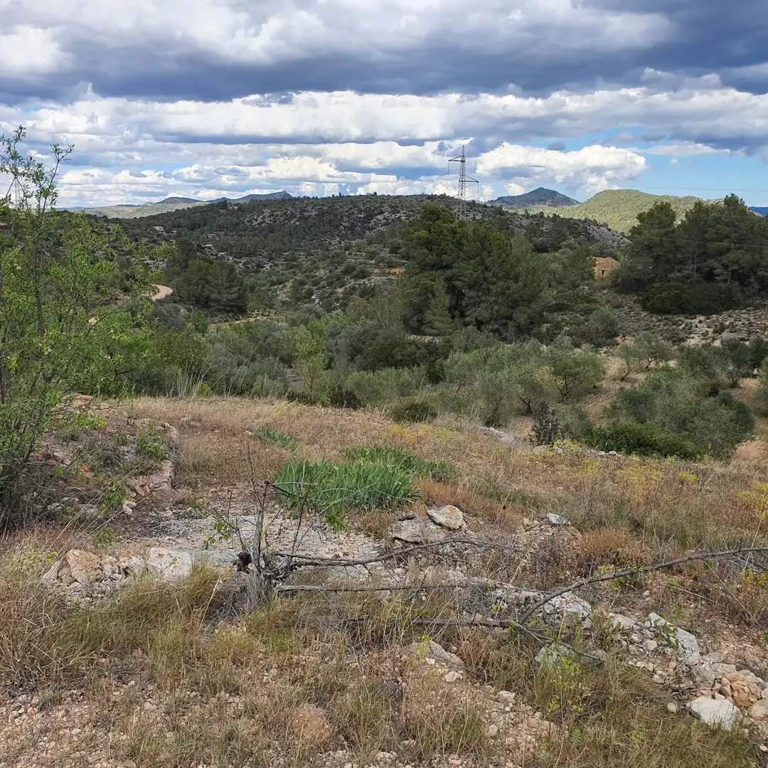 Rural land for sale in El Pinell de Brai, imagen 9
