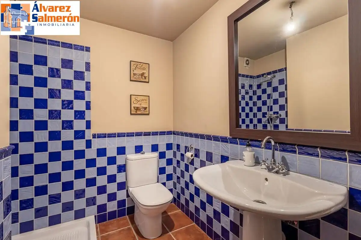 Villa mit Pool zum Verkauf in Calle DE LAS CAÑAS, imagen 28