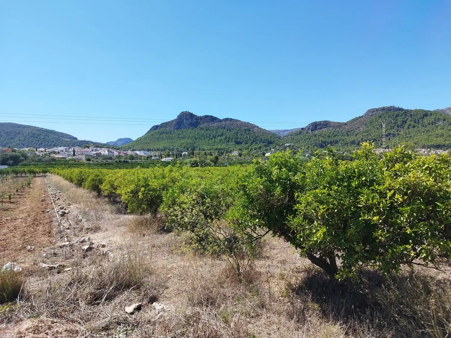 Residential land for sale in Orba, imagen 8