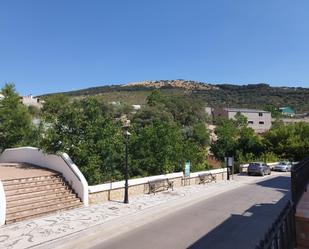 Vista exterior de Finca rústica en venda en Alfarnate