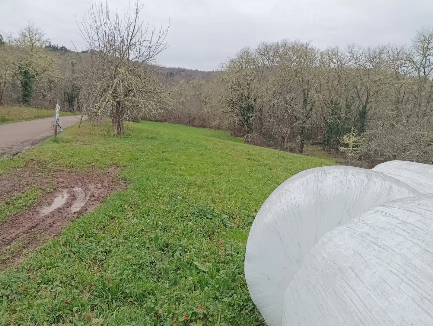 Finca rústica en venta en Becerreá