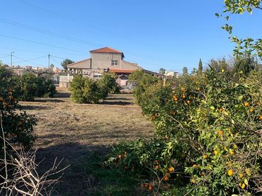 Terreni e lotti in vendita a Pedanías Oeste