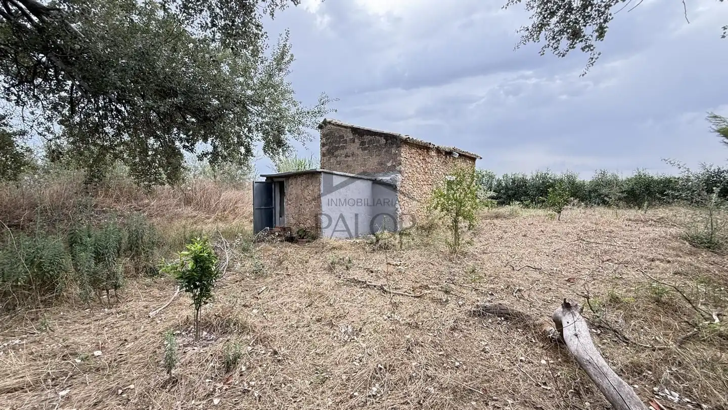 Maison rustique avec jardin à vendre à Carcaixent, imagen 15
