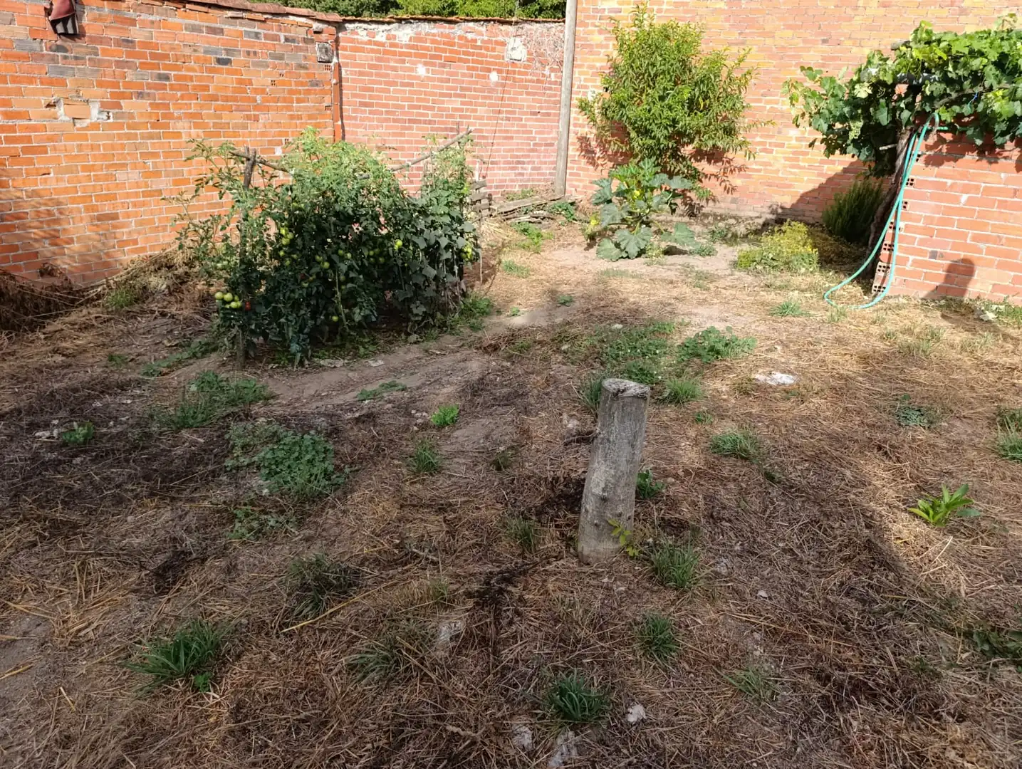 Finca rústica en venda en O Saviñao  amb Jardí privat i Traster
