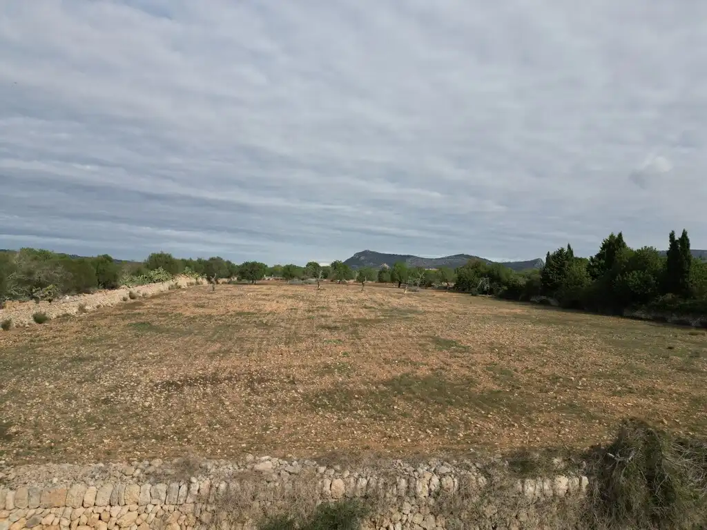 Casa rustica con piscina in vendita a Llucmajor pueblo, imagen 22
