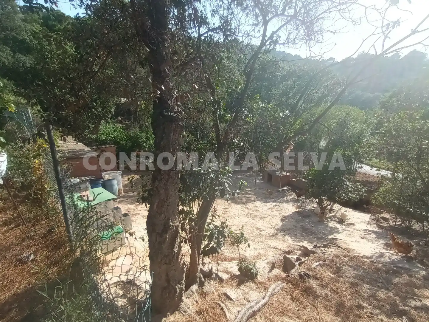 Residential land for sale in Montbarbat, imagen 4