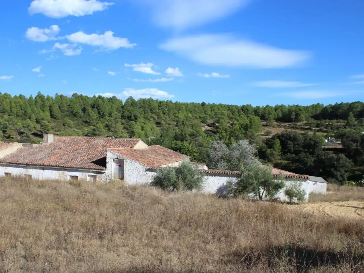 Exterior view of Country homes for sale in Enguera