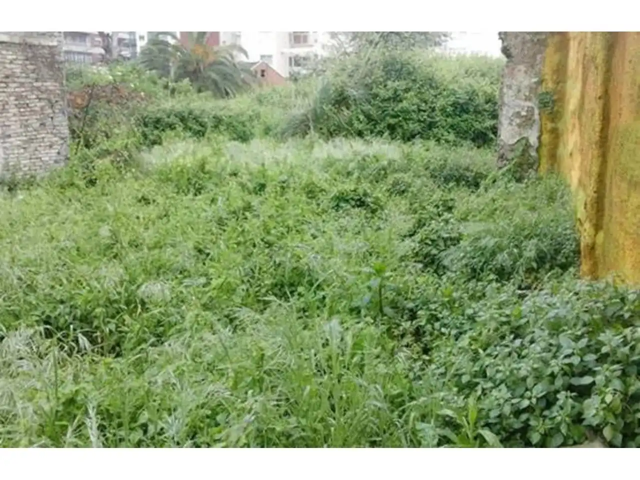 Terrain rustique à vendre à Calle Levante 1, imagen 3
