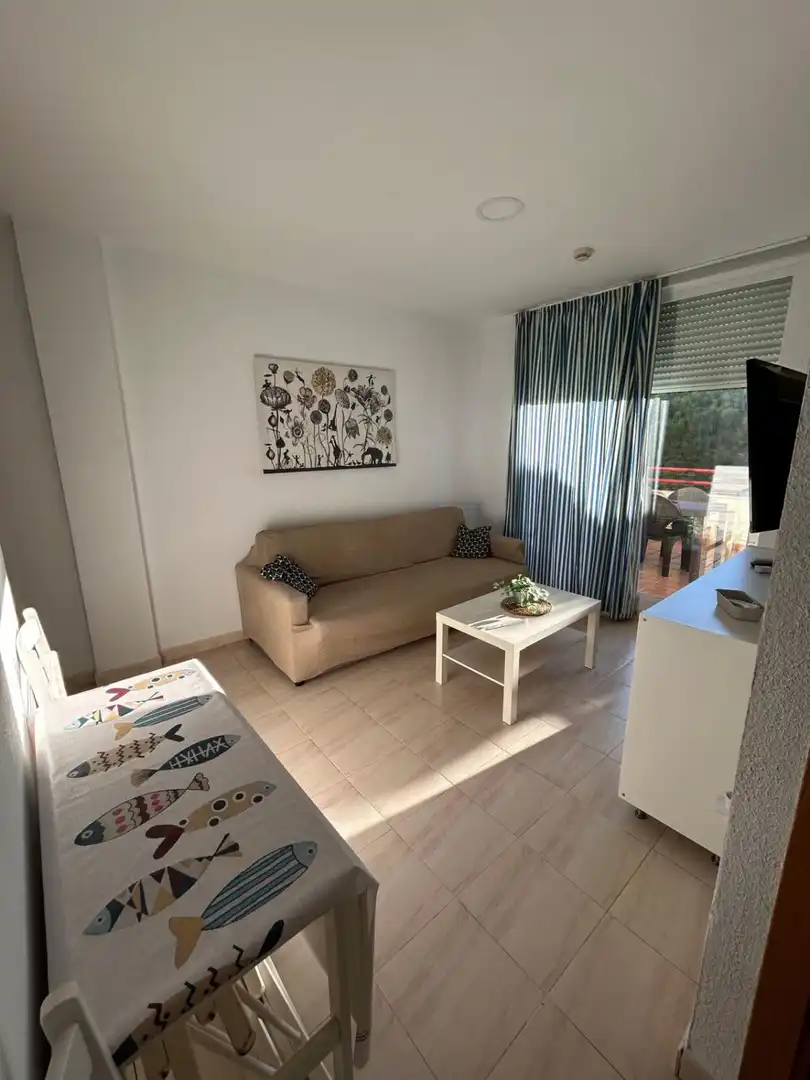 Sala d'estar de Apartament en venda en Barbate amb Aire condicionat i Terrassa