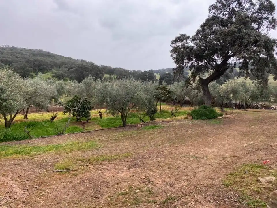 Casa o xalet en venda en La Granjuela amb Calefacció, Jardí privat i Traster