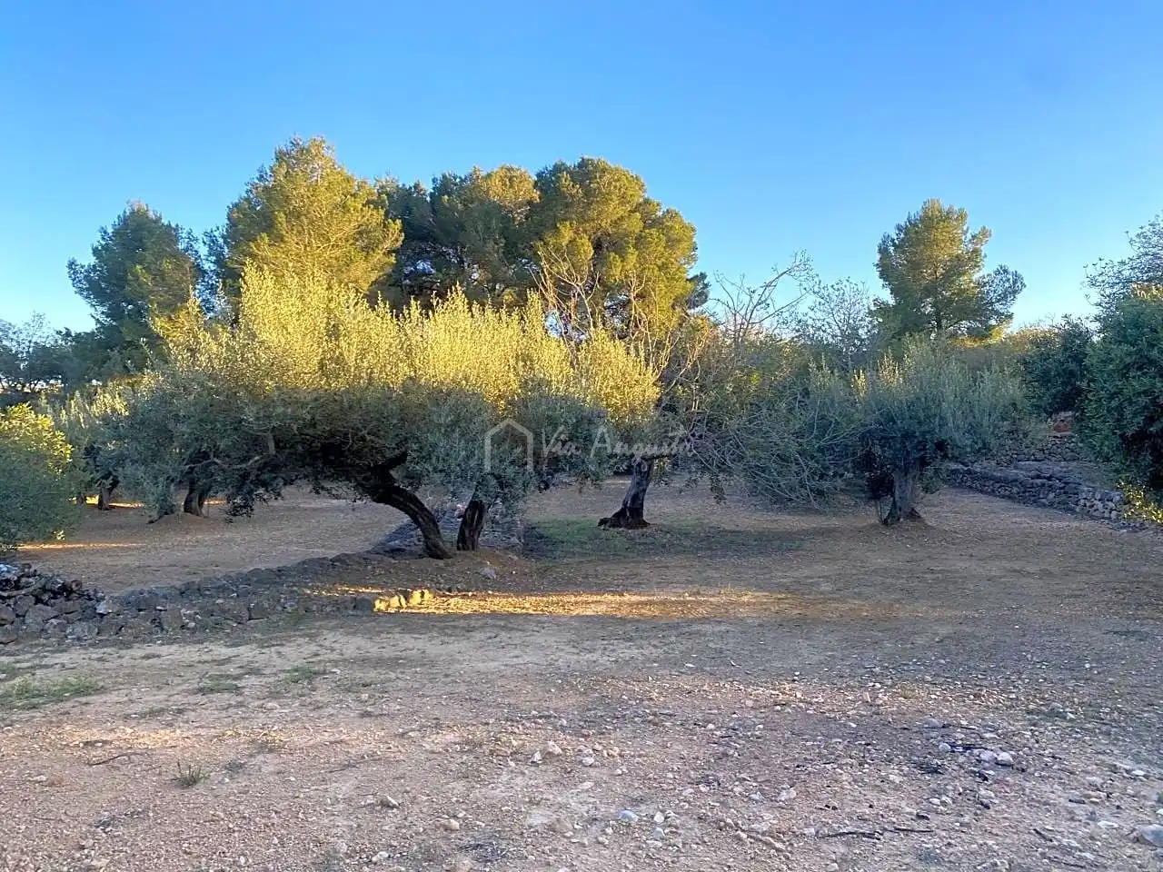 Terrain rustique à vendre à Baldiras, imagen 4