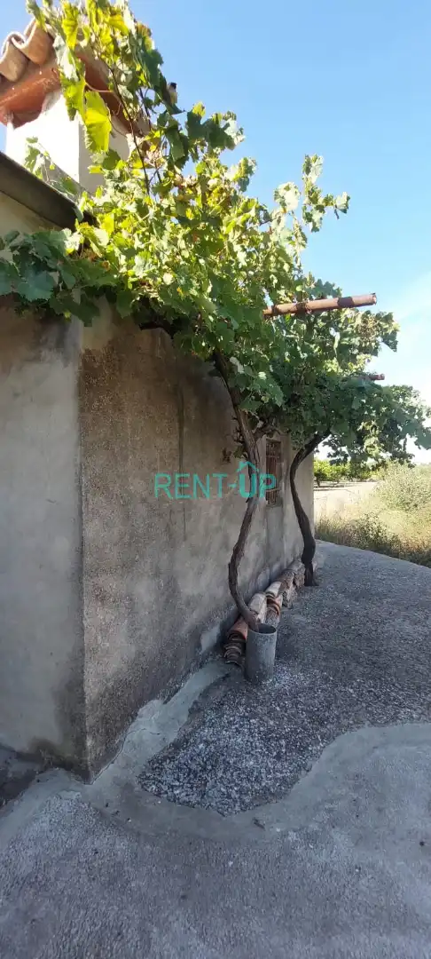 Terreny residencial en venda a Xàtiva, imagen 11