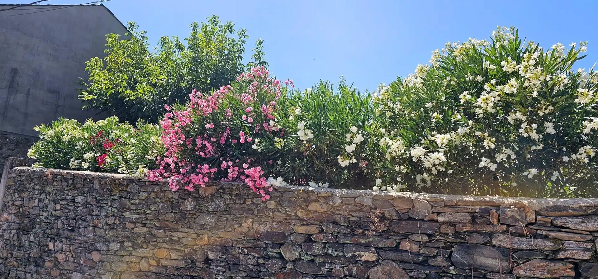 Jardí de Finca rústica en venda en Ponferrada amb Jardí privat