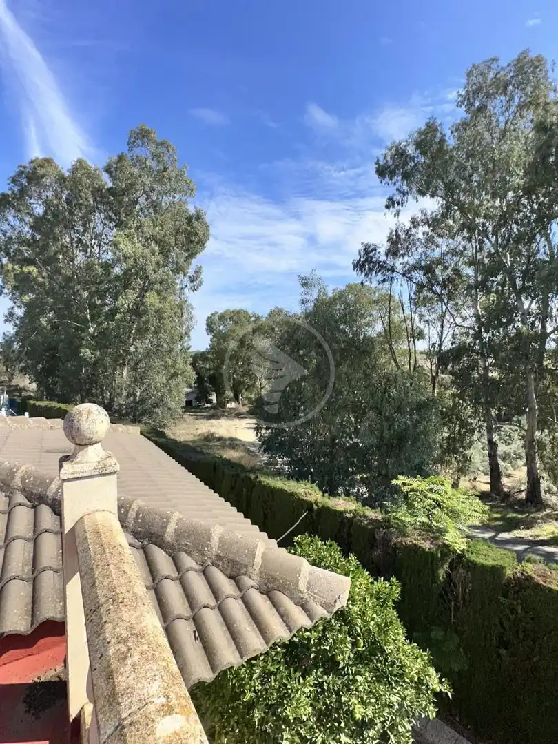 Vista exterior de Finca rústica en venda en Linares amb Jardí privat, Terrassa i Piscina