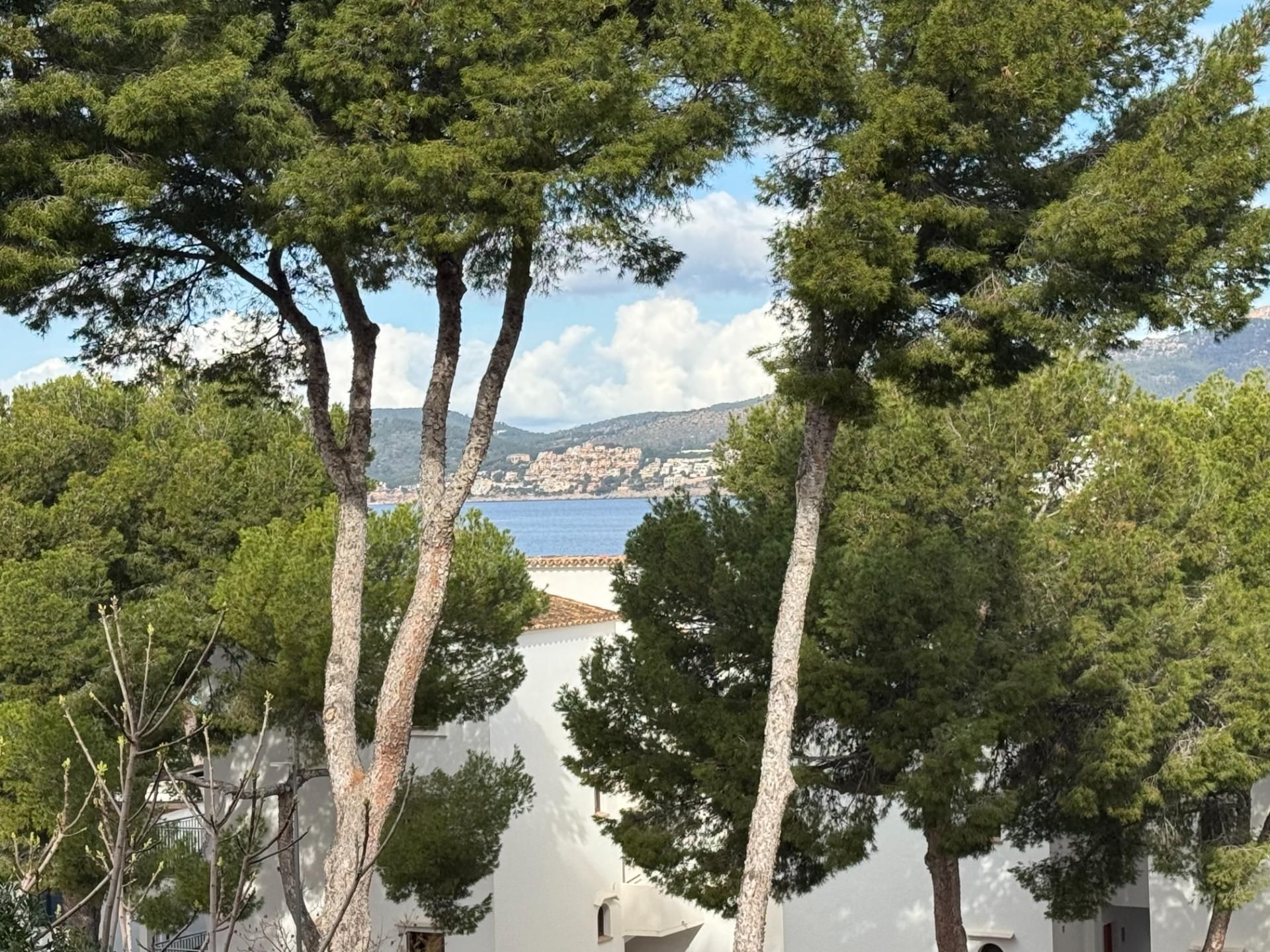Vista exterior de Apartament de lloguer en Calvià amb Aire condicionat, Calefacció i Terrassa
