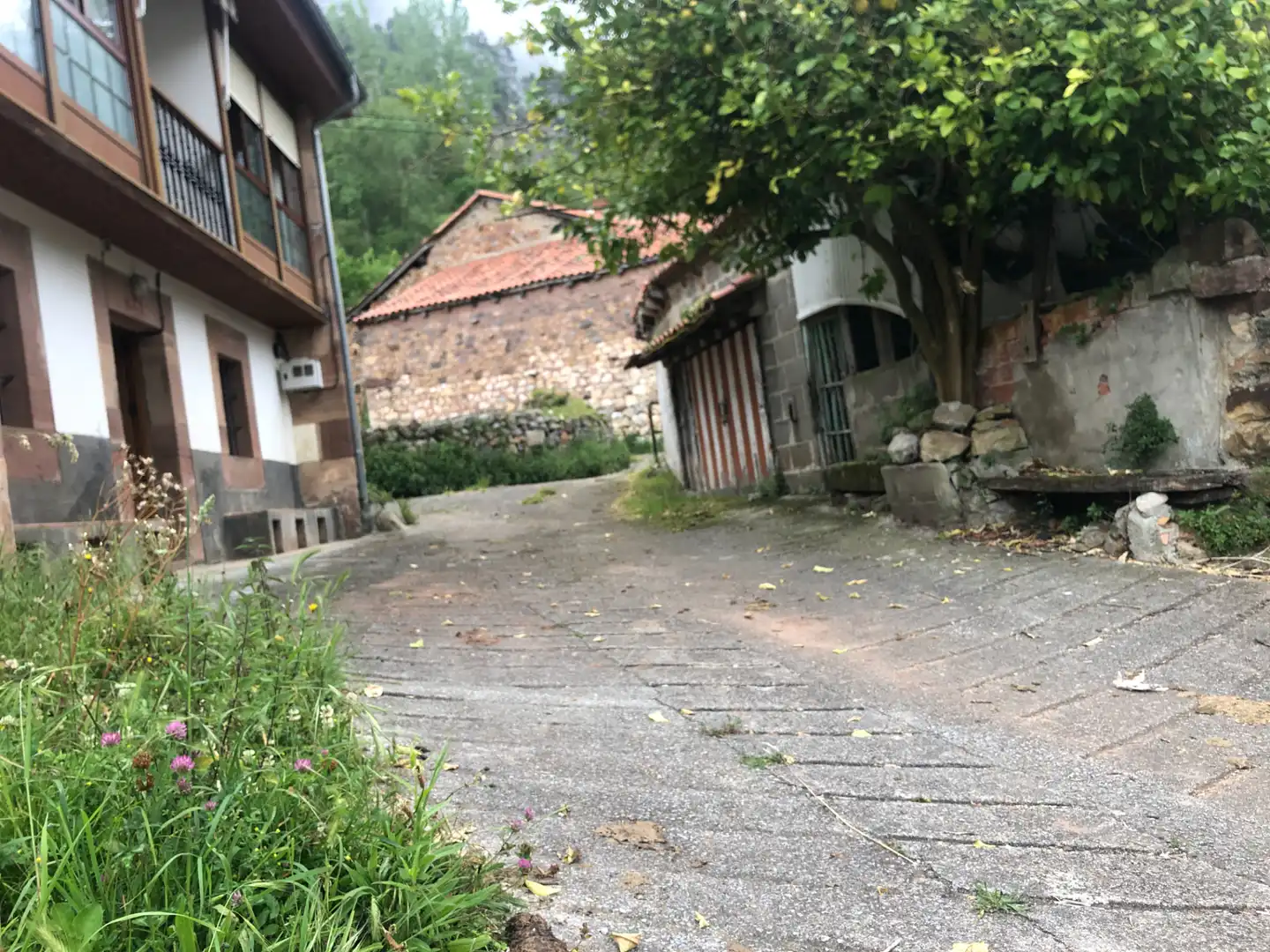 Vista exterior de Casa o chalet en venta en Lamasón con Calefacción, Amueblado y Horno