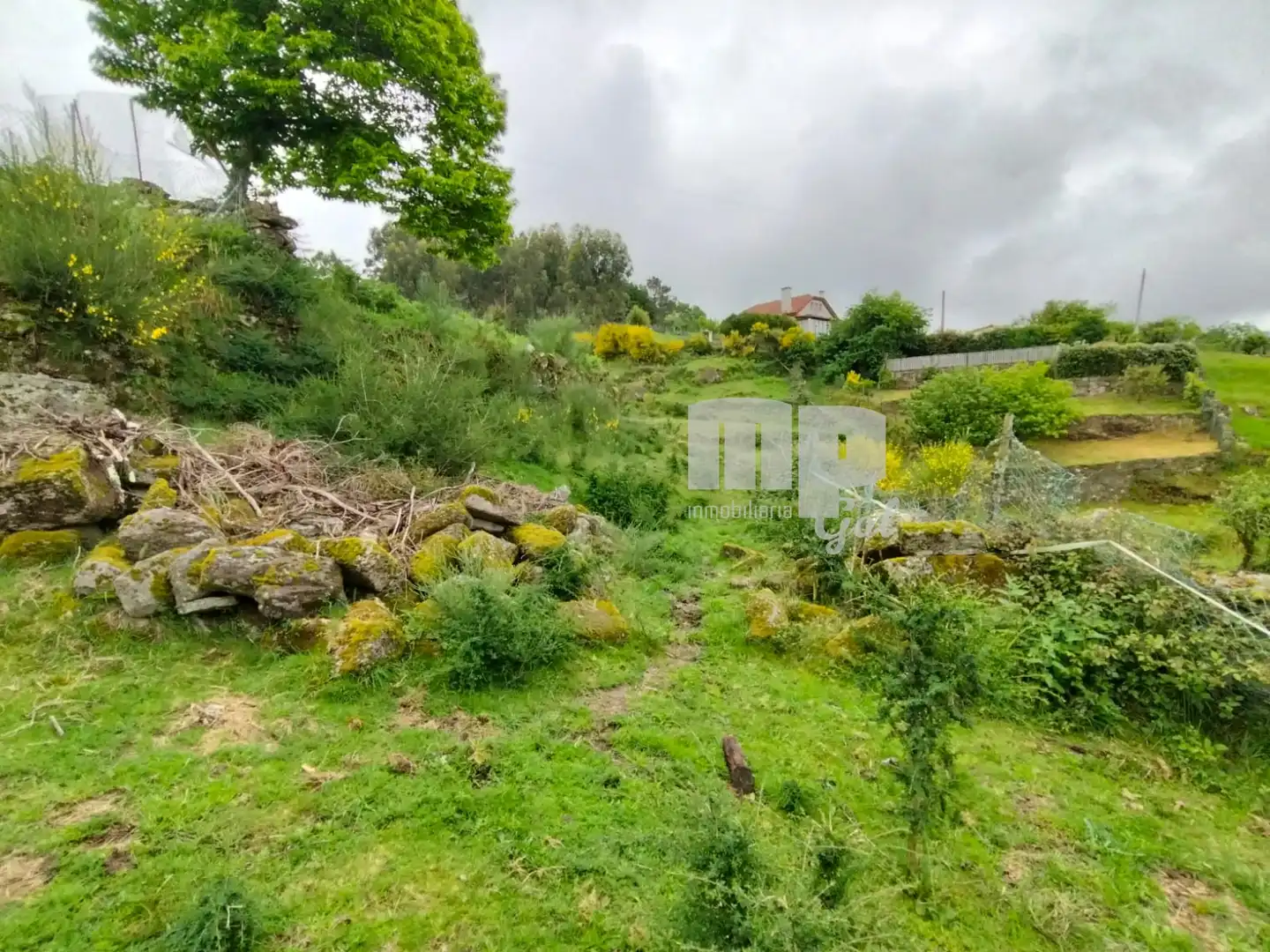 Country homes for sale in Fornelos de Montes