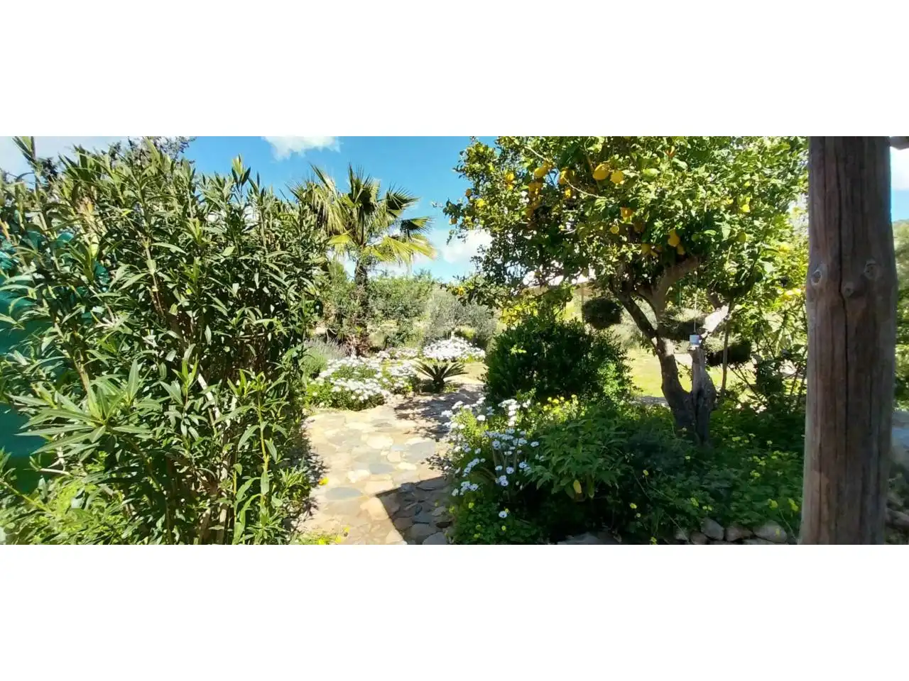 Jardí de Casa o xalet en venda en Cartagena amb Aire condicionat, Jardí privat i Terrassa