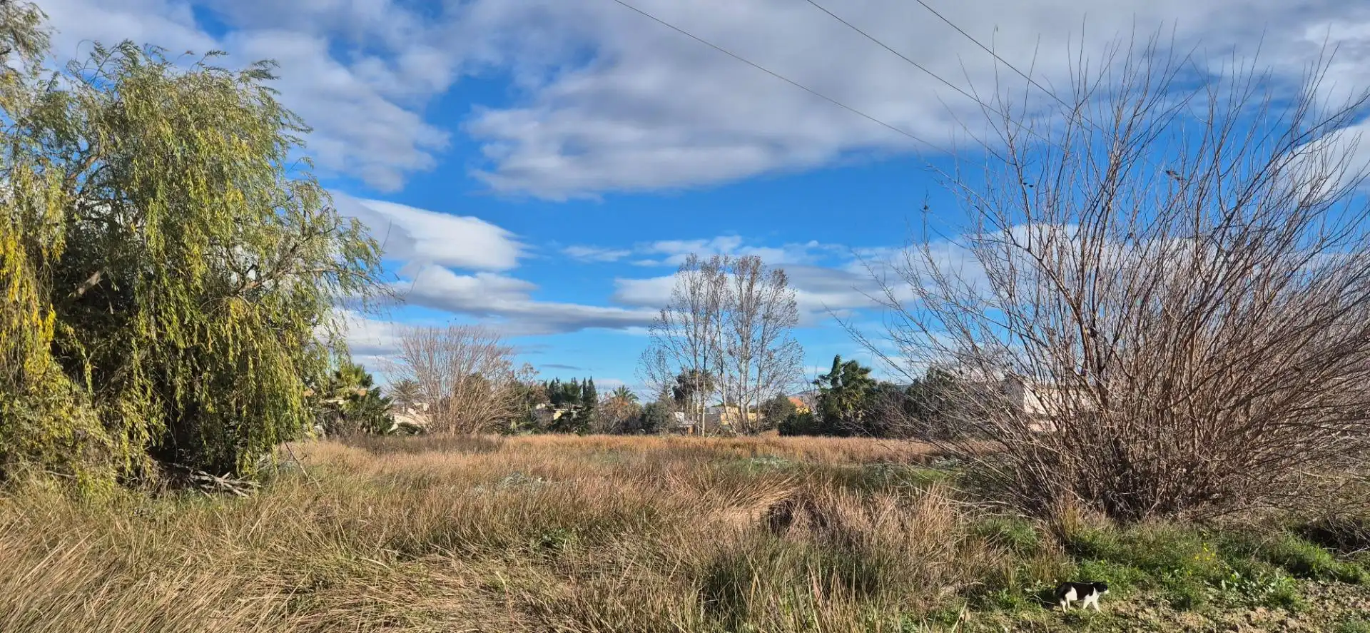 Residential for sale in CARRIL AROCAS, Puente Tocinos