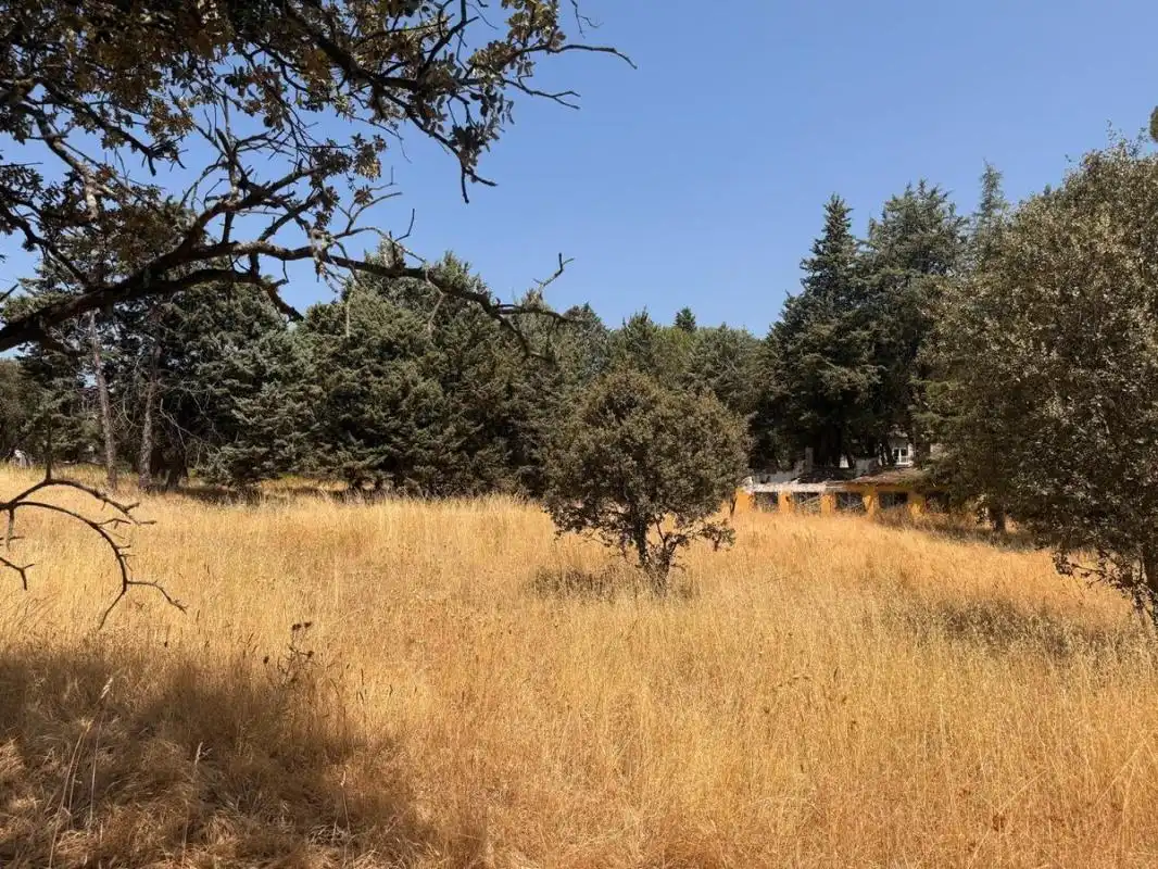 Residential land for sale in Camino de los Barrizales, imagen 7