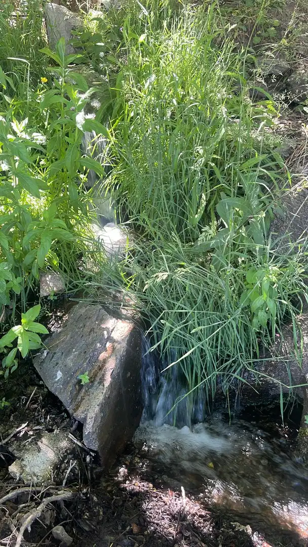 Terreni e lotti in vendita a Nigüelas, imagen 11